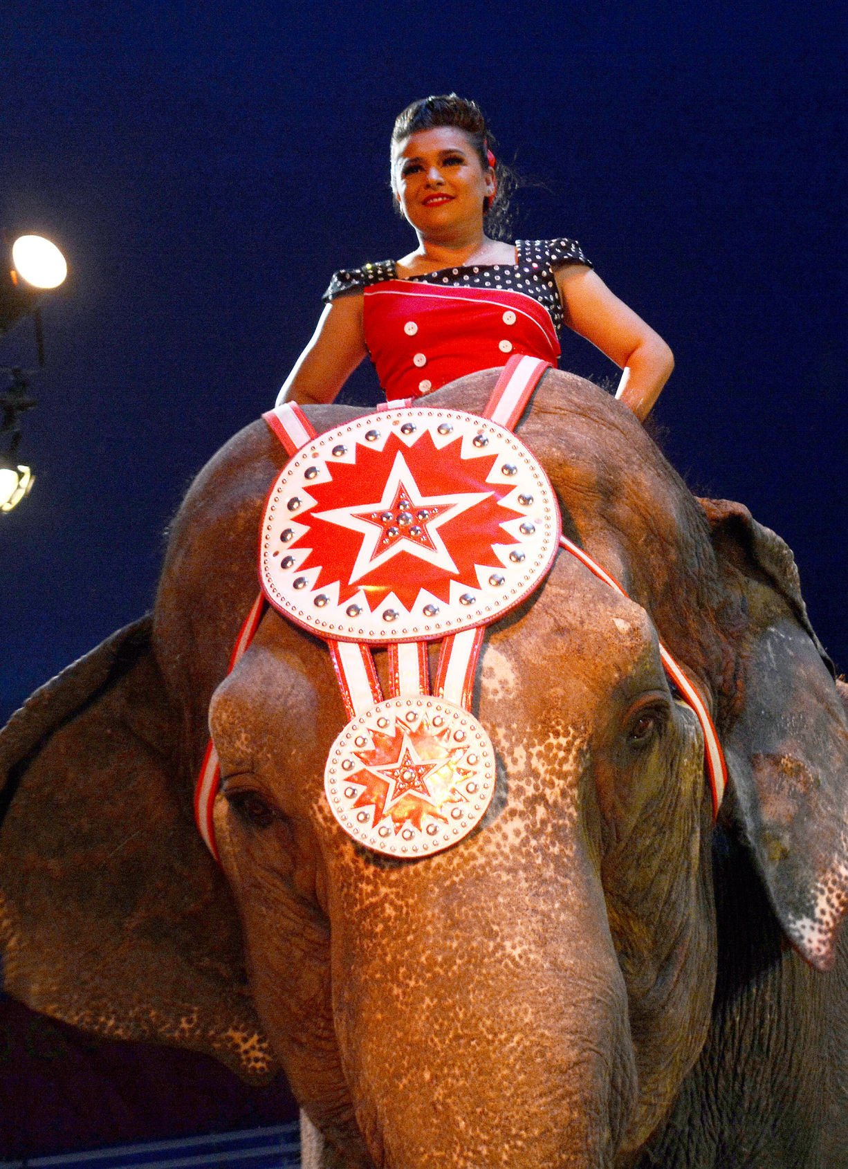 Tatiana Combs Circus World elephants